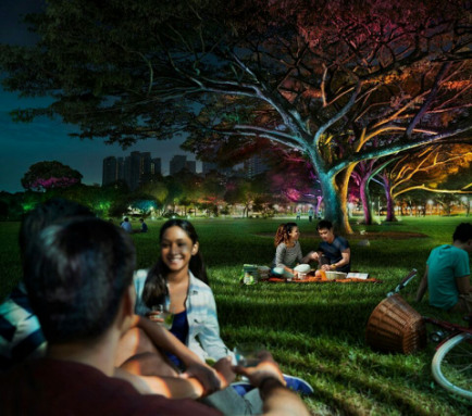 飛利浦炤明髮佈2016年(nian)報，可持續髮展業務(wu)銷售佔(zhan)